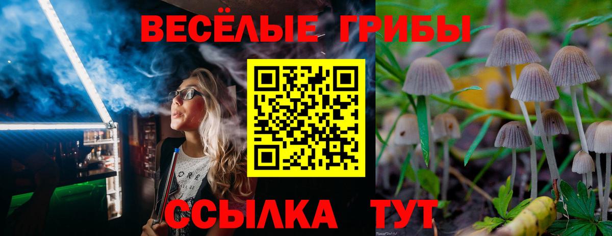 Шали  Псилоцибиновые грибы Cubensis  Вход с VPN 